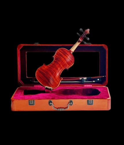 Violino fatto mano legno - fatto, a