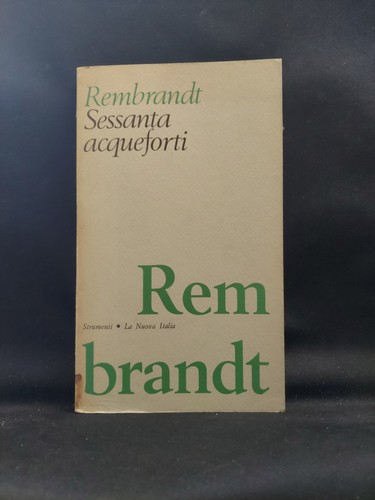 Witt rembrandt 60 - de,