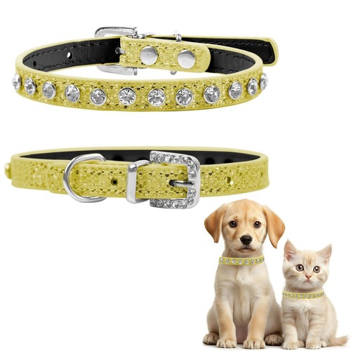 Collari per cani - cani, piccola