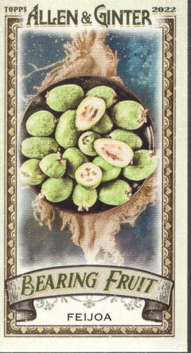 2022 topps allen and - and, ginter