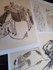 E478 Parte 1 Cavallo Takara