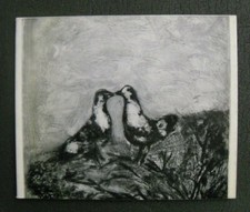 Cara. Due momenti dell'Opera