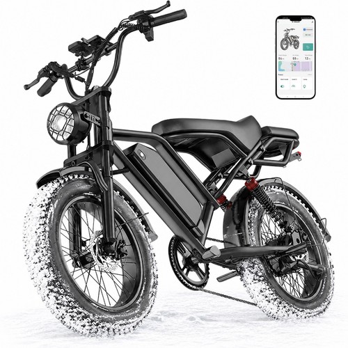 Bici elettrica fat tire - bici,
