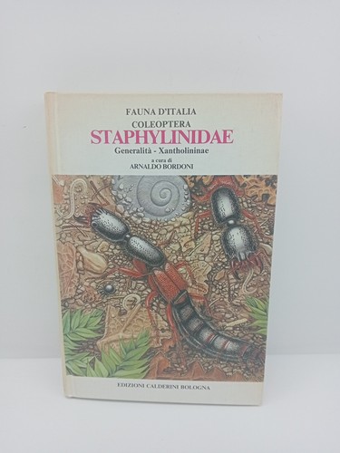 Staphylinidae coleoptera - coleoptera,