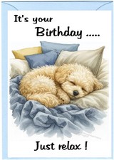 Maltipoo  Doodle Cockapoo (4"x