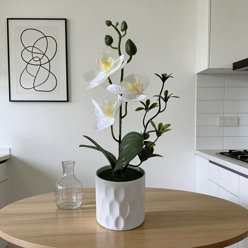 Pianta orchidea finta - orchidea,