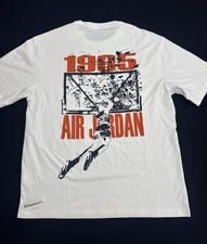 Nike Jordan SBB Shattered