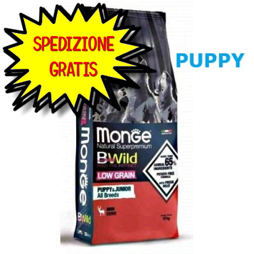Monge cane crocchetta bwild - cane,