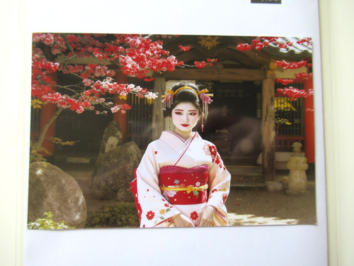 Araki nuovo kimono - araki:,