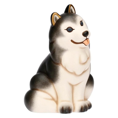 Cane husky thun - husky, thun,