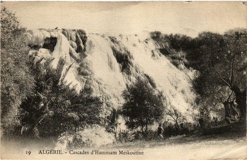 Cpa algeria geiser - geiser, 19