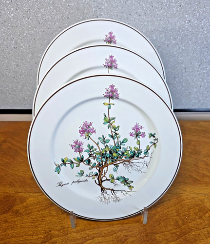 Villeroy boch botanica salad - villeroy,