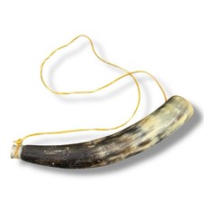 Tromba corno soffiato toro