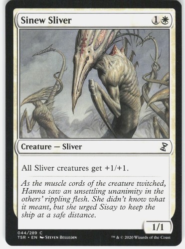 Sinew sliver common time - 44,