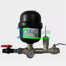 1PCS 1 Pollice Pompa Ram