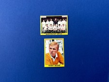 FIGURINE PANINI CALCIATORI