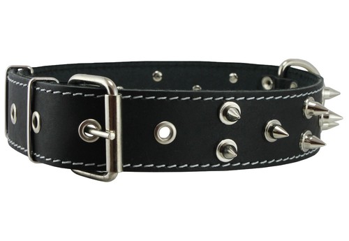 Collare per cani - in, pelle