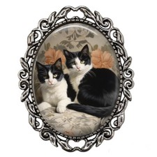 Exotic Shorthair Twins Tuxedo