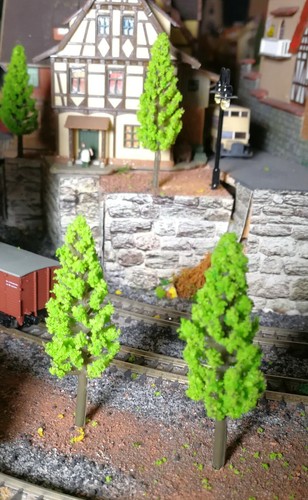 Abeti verde chiaro - abeti,
