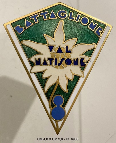 Alpini battaglione val - alpini, 8°