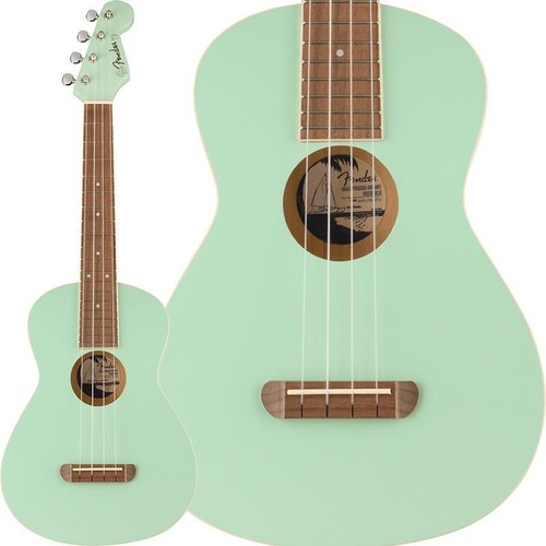 Fender acoustics big - fender,