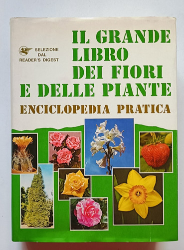 Grande libro dei - grande,