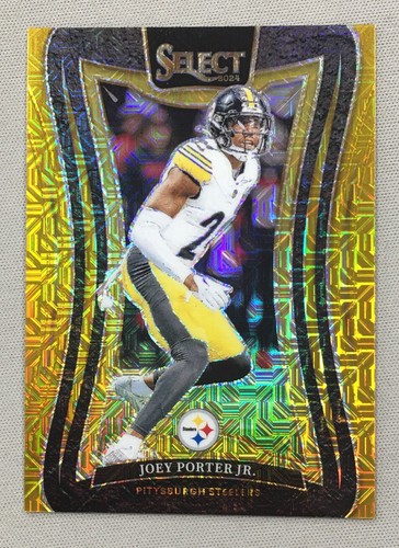 Joey porter 2024 panini - joey,