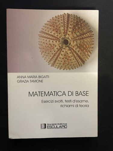Matematica base bigatti - base,