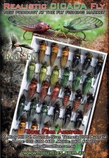 4 esche da pesca a mosca