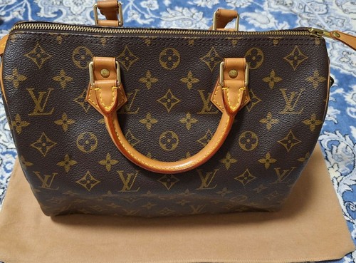 Louis vuitton borsa mano - louis,