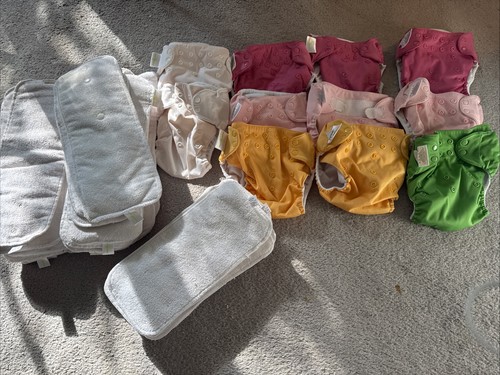 Lot bum genius reusable - lot,