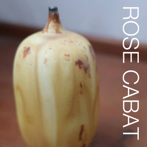 Rose cabat feelie giallo - rose, x