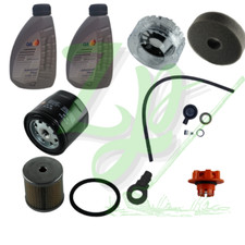 MANUTENZIONE MOTORE LOMBARDINI