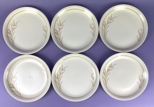 Set piatti vintage biltons - set,