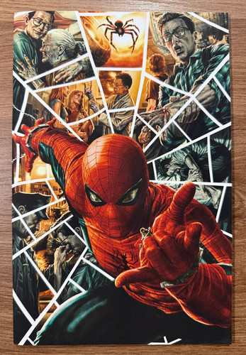 Amazing spider man - spider-man, lee