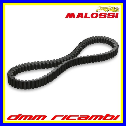 Cinghia trasmissione malossi - trasmissione,