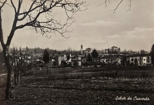 Cartolina 1950 cunardo saluti - cartolina,