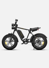 Engwe E-Bike M20 250W 48V 13Ah