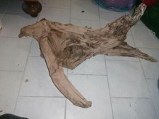 Oggetti Per Acquario