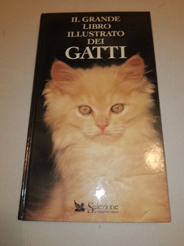 Grande libro dei gatti - grande,