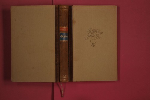 293058 hermann hesse - hermann, gertrud