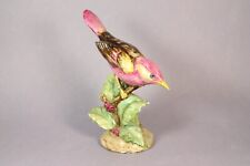 CERAMICA CACCIAPUOTI