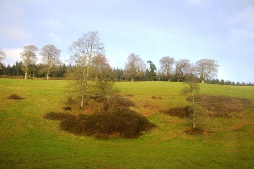 Photo 6x4 hillside - photo, mill
