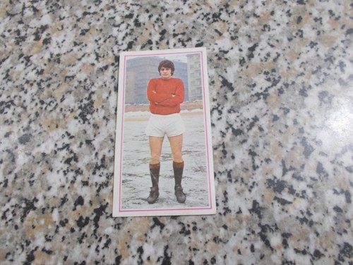 Bozzi album - (torino),