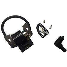 Bobina Accensione Magneto per Motozappa 130202 Giant-Vac Sdoppiatore 5 Hp Briggs Stratton