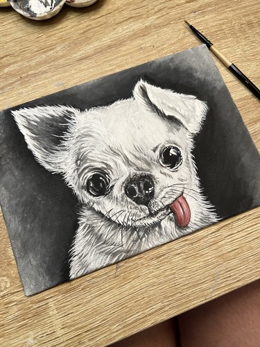 Quadro chihuahua - quadro,