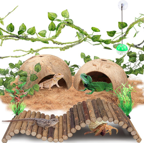 Accessori per terrario - terrario,