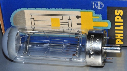 Lampada 240 500 w g17q - 240,