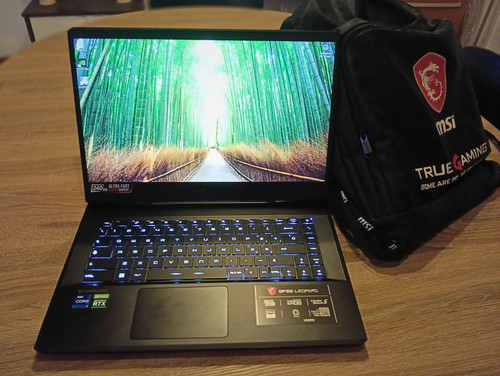 Gaming msi gp66 - pc,