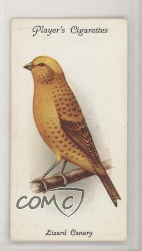 1933 aviaria gabbia del - aviaria,